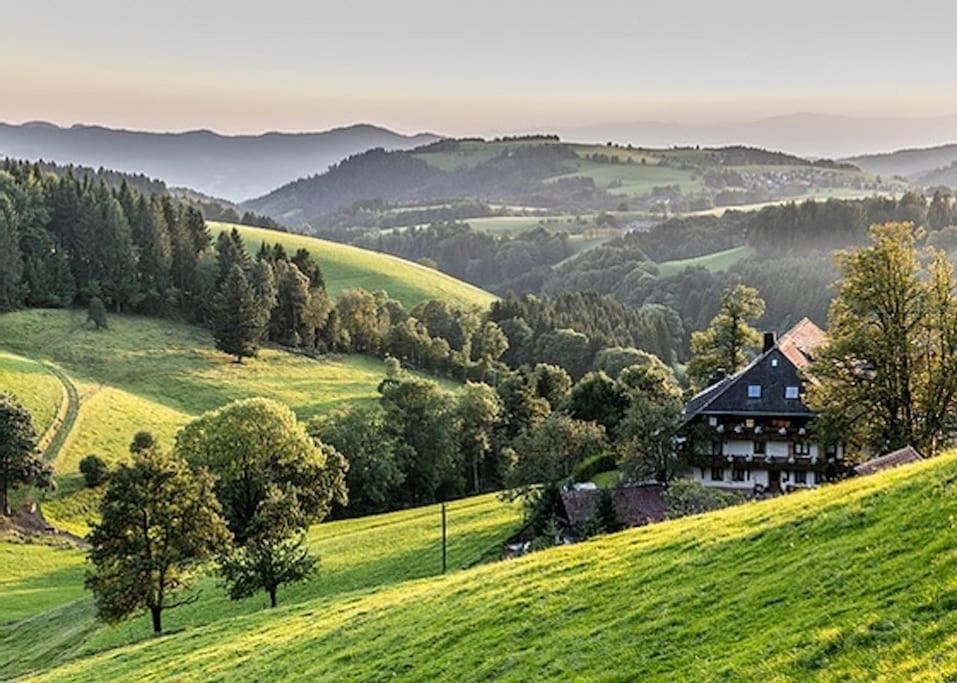 Ferienwohnung Lotti + Hochschwarzwald Card ทิทิเซ-นอยชตัดท์ ภายนอก รูปภาพ