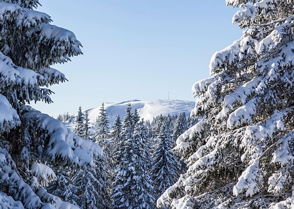 Ferienwohnung Lotti + Hochschwarzwald Card ทิทิเซ-นอยชตัดท์ ภายนอก รูปภาพ