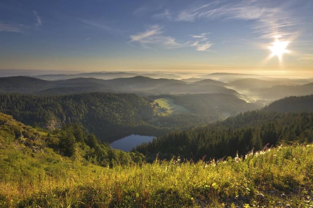 Ferienwohnung Lotti + Hochschwarzwald Card ทิทิเซ-นอยชตัดท์ ภายนอก รูปภาพ
