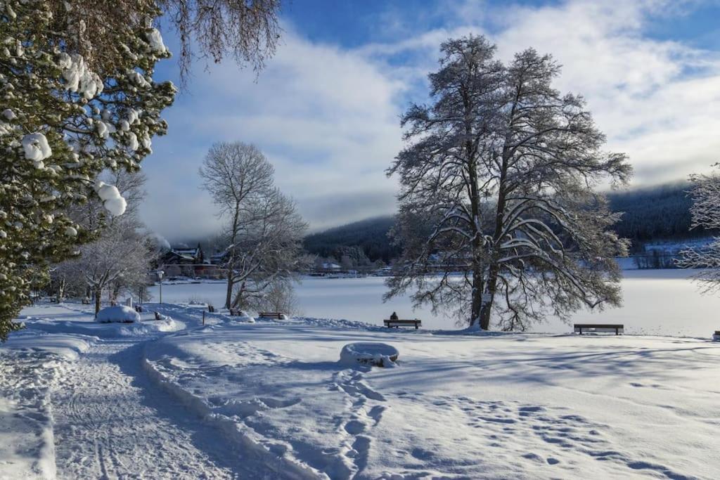 Ferienwohnung Lotti + Hochschwarzwald Card ทิทิเซ-นอยชตัดท์ ภายนอก รูปภาพ
