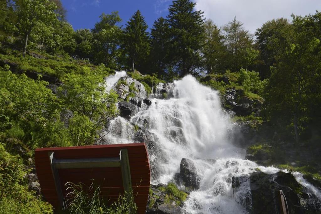 Ferienwohnung Lotti + Hochschwarzwald Card ทิทิเซ-นอยชตัดท์ ภายนอก รูปภาพ